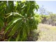 2773 Round Hill Road, Agnes Water QLD 4677