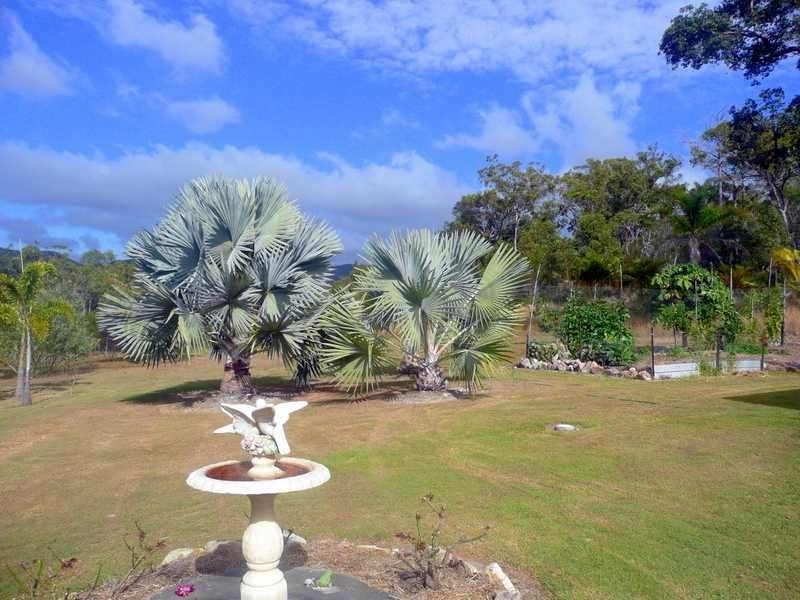 420 Murphy Road, Captain Creek QLD 4677