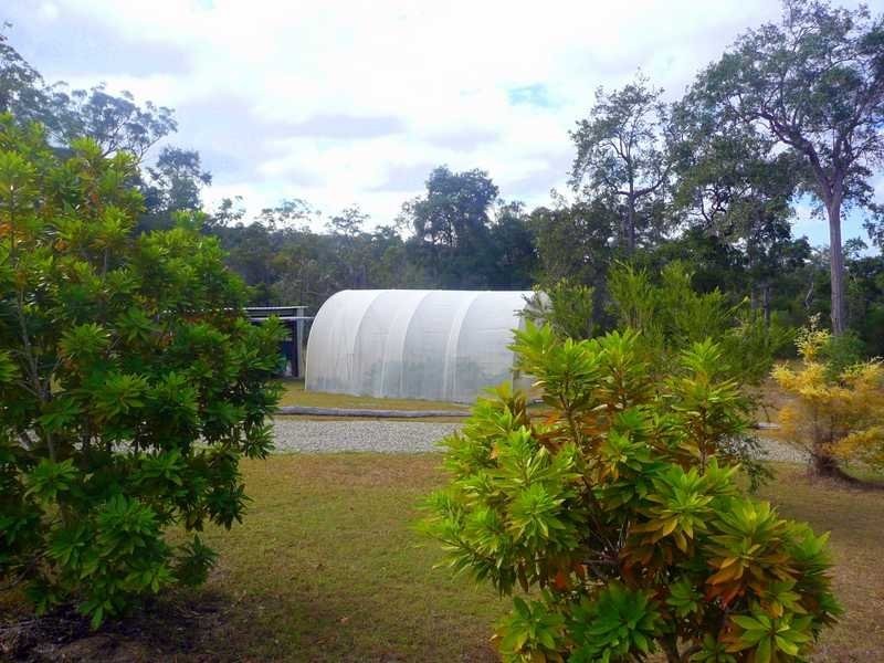 420 Murphy Road, Captain Creek QLD 4677