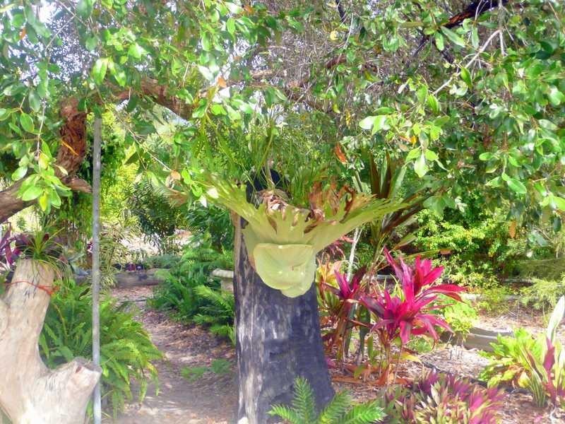 420 Murphy Road, Captain Creek QLD 4677