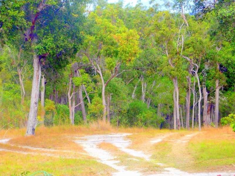 420 Murphy Road, Captain Creek QLD 4677