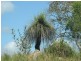 Round Hill QLD 4677