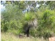 Round Hill QLD 4677