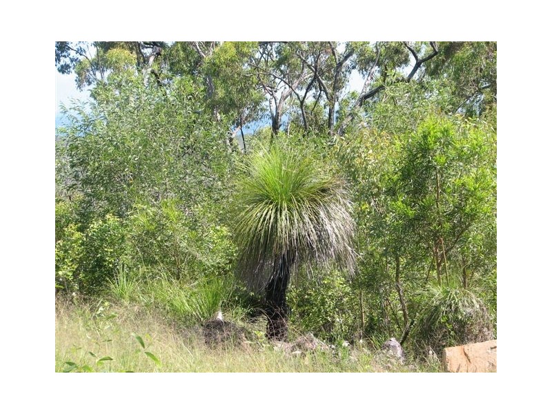 Round Hill QLD 4677