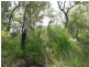 Round Hill QLD 4677