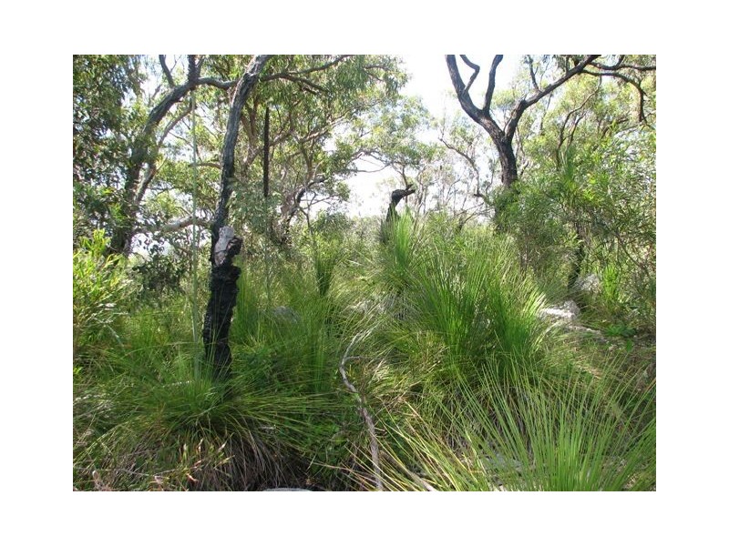Round Hill QLD 4677