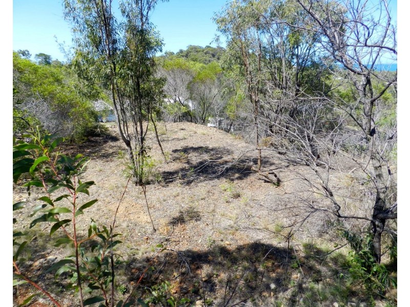 Agnes Water QLD 4677