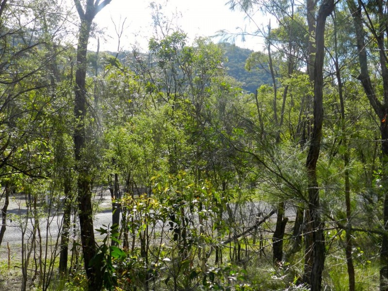 Lot 346 Streeter Drive, Agnes Water QLD 4677