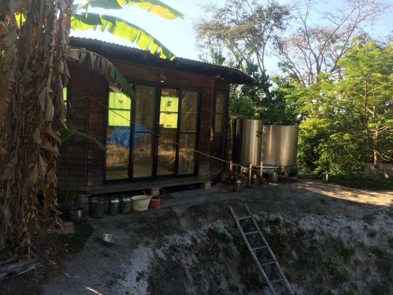 51 Claytons Road, Lowmead QLD 4676