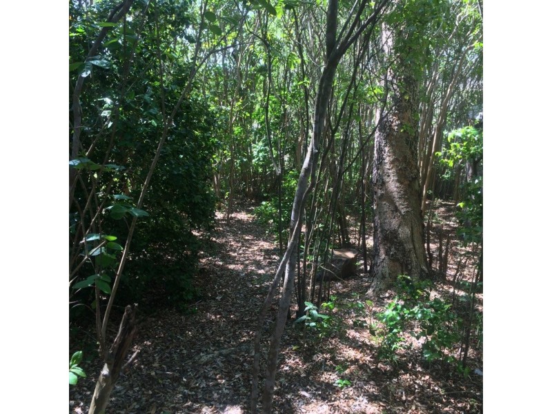 51 Claytons Road, Lowmead QLD 4676