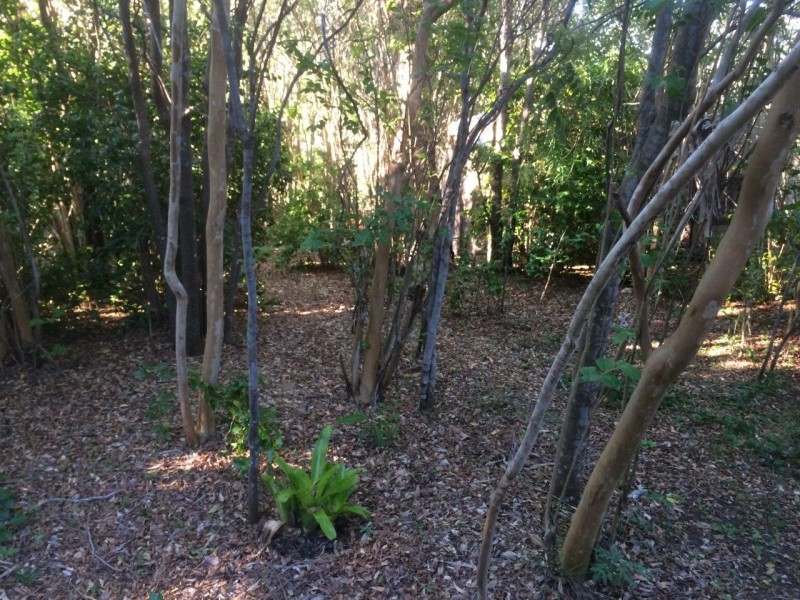 51 Claytons Road, Lowmead QLD 4676