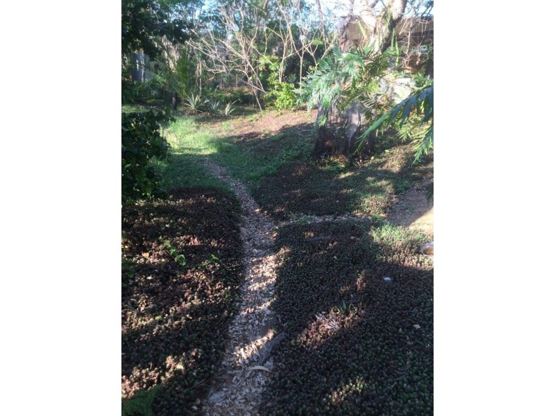 51 Claytons Road, Lowmead QLD 4676