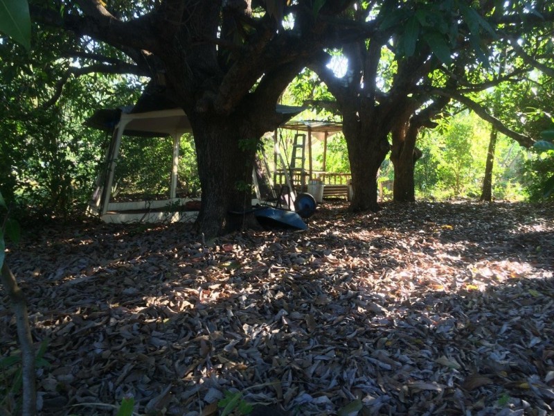 51 Claytons Road, Lowmead QLD 4676