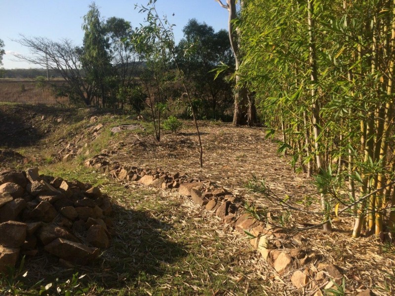 51 Claytons Road, Lowmead QLD 4676