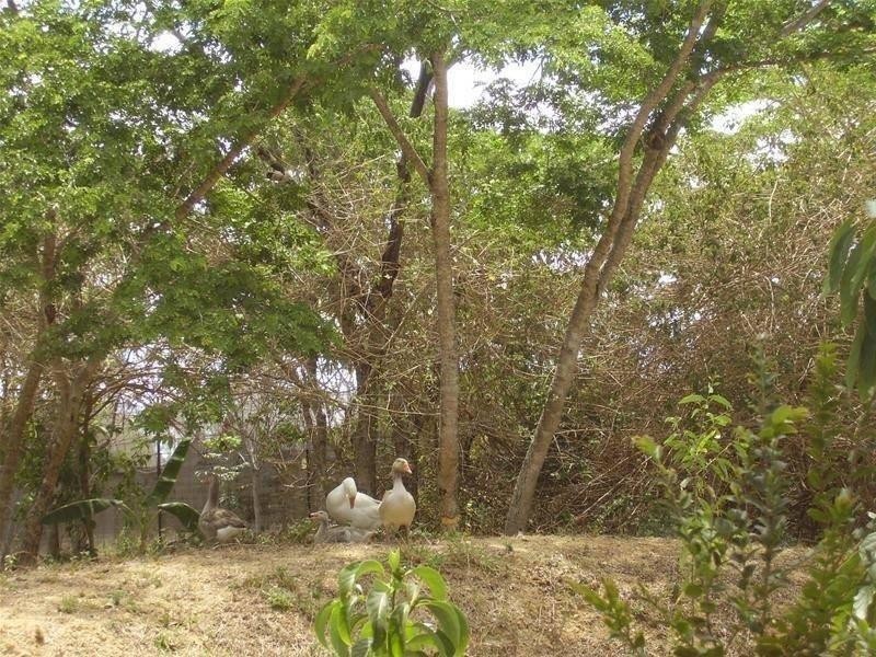 51 Claytons Road, Lowmead QLD 4676