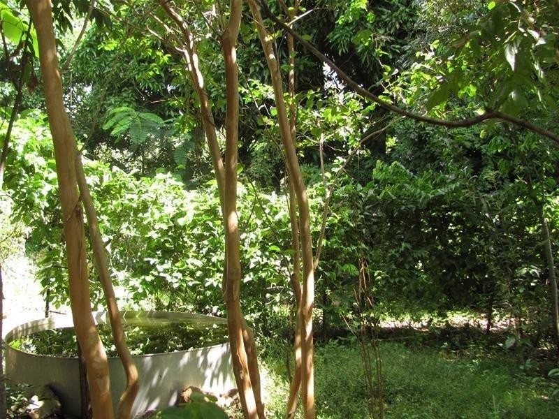 51 Claytons Road, Lowmead QLD 4676