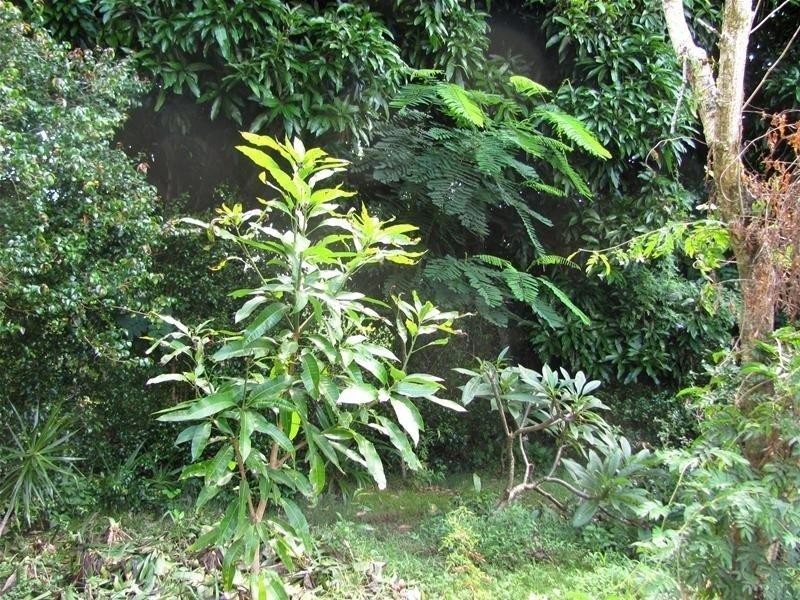 51 Claytons Road, Lowmead QLD 4676