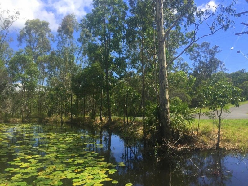 Agnes Water QLD 4677