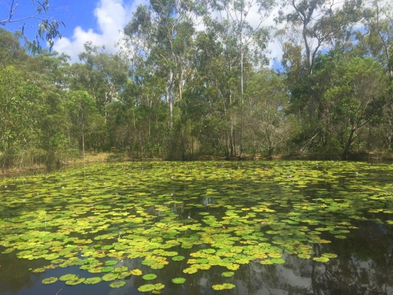 Agnes Water QLD 4677