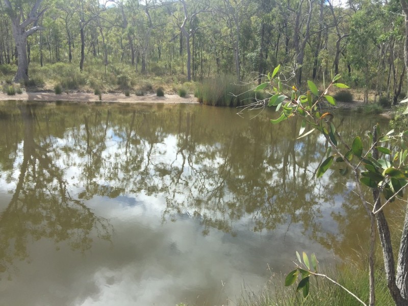 671 Murphy Road, Captain Creek QLD 4677