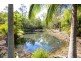 671 Murphy Road, Captain Creek QLD 4677