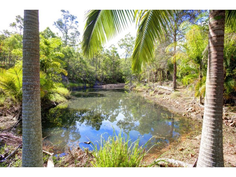 671 Murphy Road, Captain Creek QLD 4677