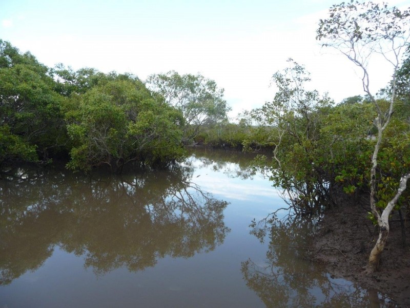 Agnes Water QLD 4677