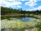 307 Creevey Drive, Captain Creek QLD 4677