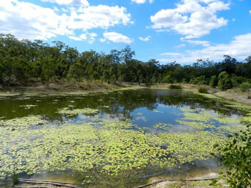 307 Creevey Drive, Captain Creek QLD 4677