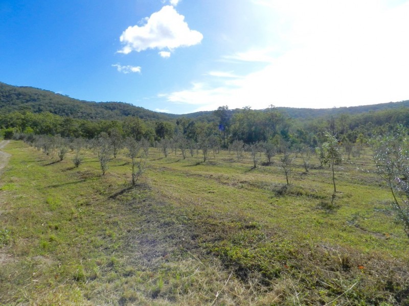 307 Creevey Drive, Captain Creek QLD 4677