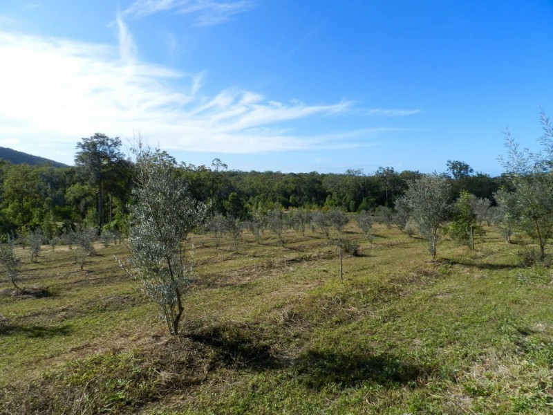 307 Creevey Drive, Captain Creek QLD 4677