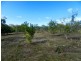 307 Creevey Drive, Captain Creek QLD 4677