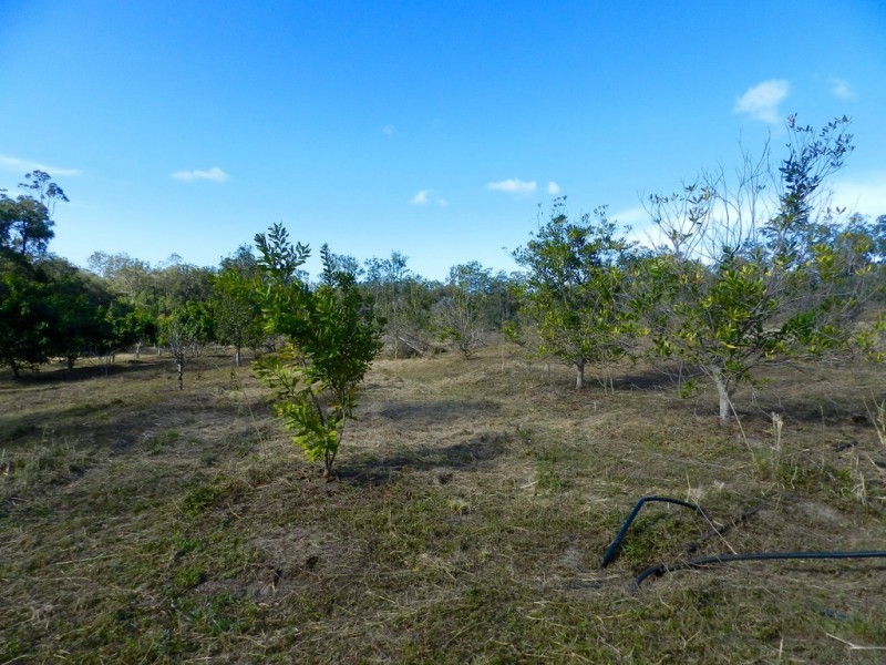 307 Creevey Drive, Captain Creek QLD 4677