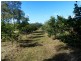 307 Creevey Drive, Captain Creek QLD 4677