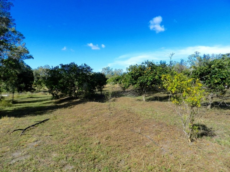 307 Creevey Drive, Captain Creek QLD 4677