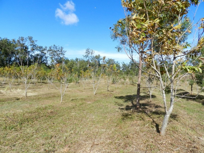 307 Creevey Drive, Captain Creek QLD 4677