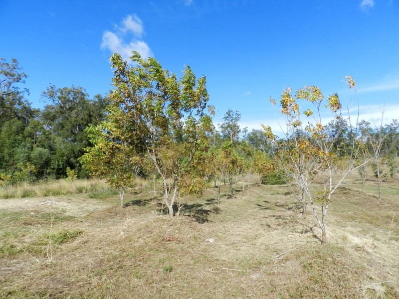 307 Creevey Drive, Captain Creek QLD 4677