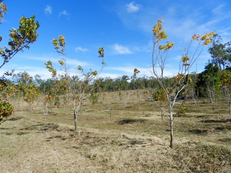 307 Creevey Drive, Captain Creek QLD 4677