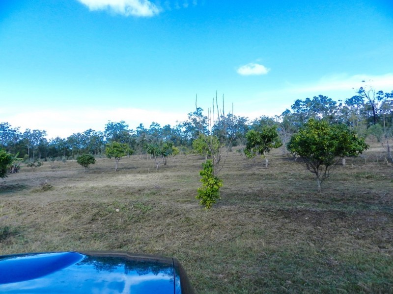 307 Creevey Drive, Captain Creek QLD 4677