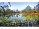 152 Streeter Drive, Agnes Water QLD 4677