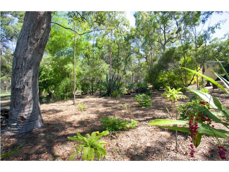 37 Wilson Drive, Agnes Water QLD 4677