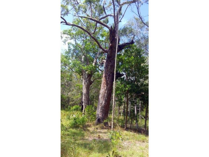 Agnes Water QLD 4677