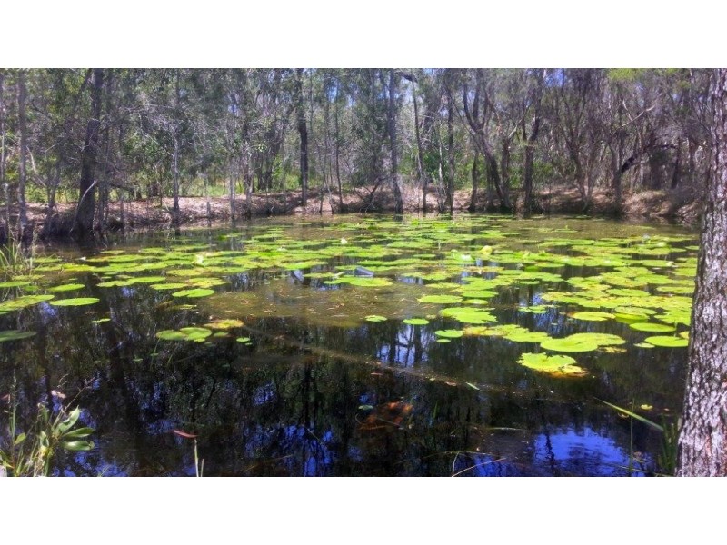 Agnes Water QLD 4677