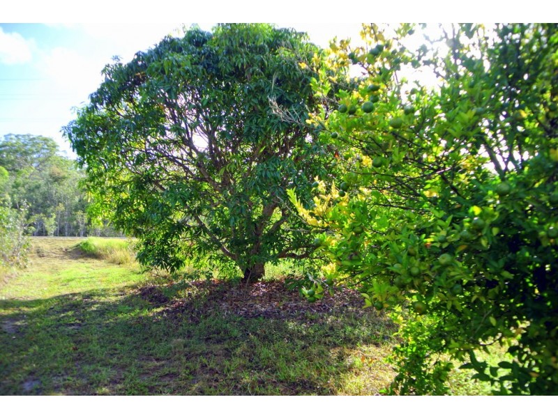 Agnes Water QLD 4677
