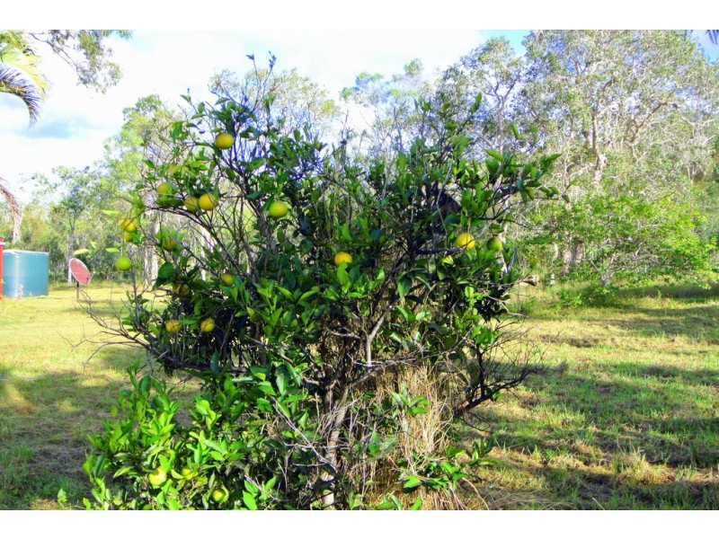 Agnes Water QLD 4677