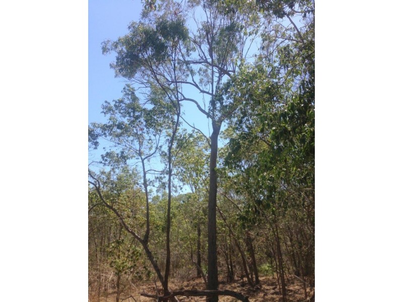 Agnes Water QLD 4677