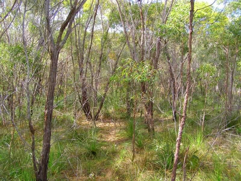436 Anderson Way, Agnes Water QLD 4677
