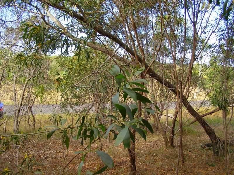 436 Anderson Way, Agnes Water QLD 4677