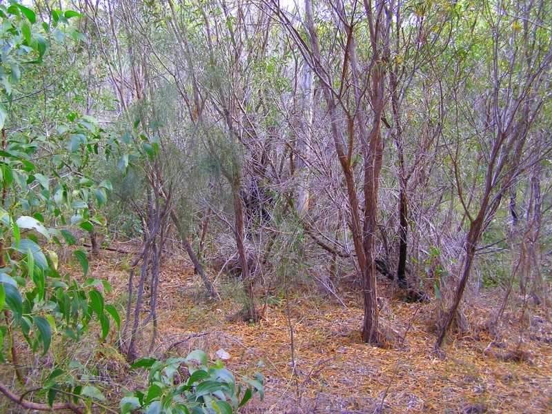 436 Anderson Way, Agnes Water QLD 4677