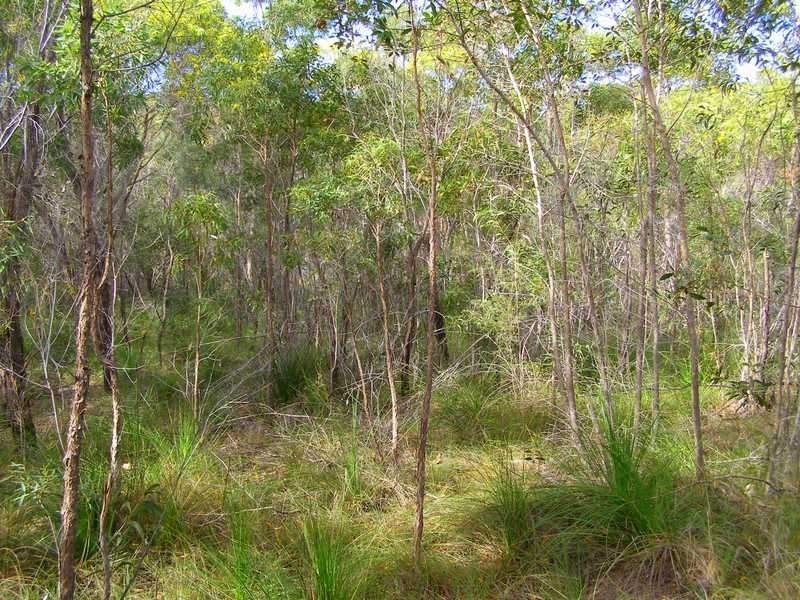 436 Anderson Way, Agnes Water QLD 4677